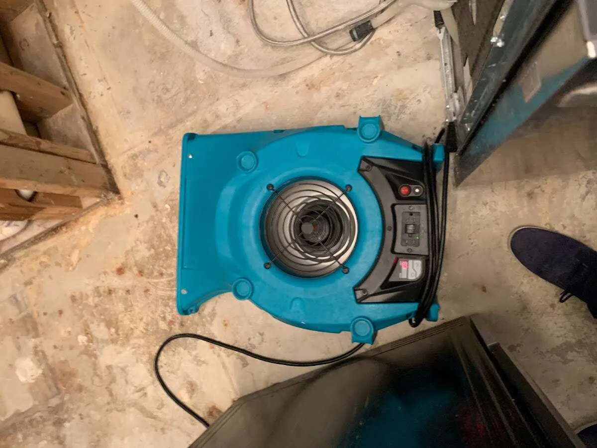 Air mover drying equipment for Mold Remediation & Removal in Glen Burnie